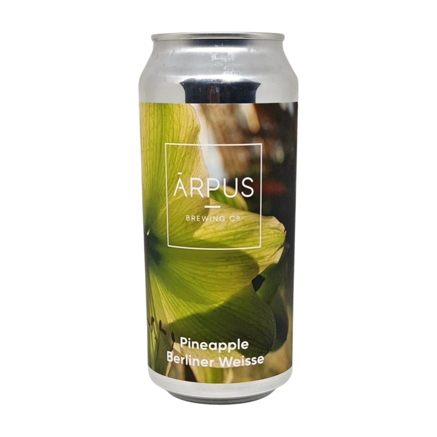 Arpus Pineapple Berliner Weisse | Sour