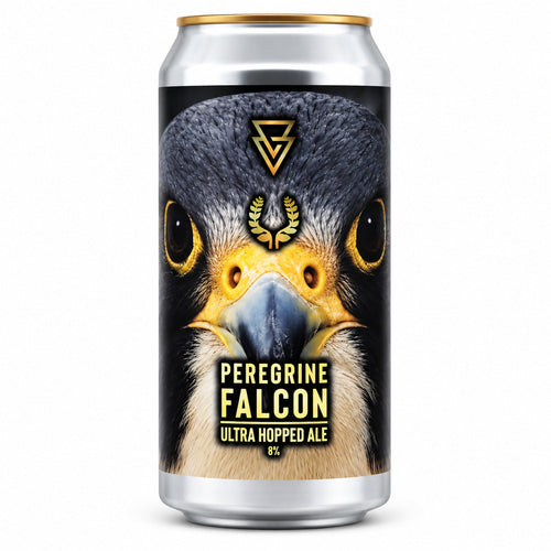 Verdins Azvex x Lolev! Peregrine Falcon