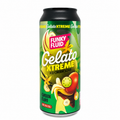 Gelato XTREME beers Verdins webshop
